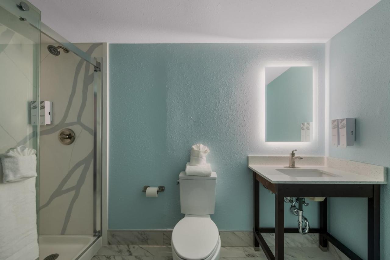 Premium King Room Disability Access with Partial Ocean View Smoke Free,1709502821:JPEG