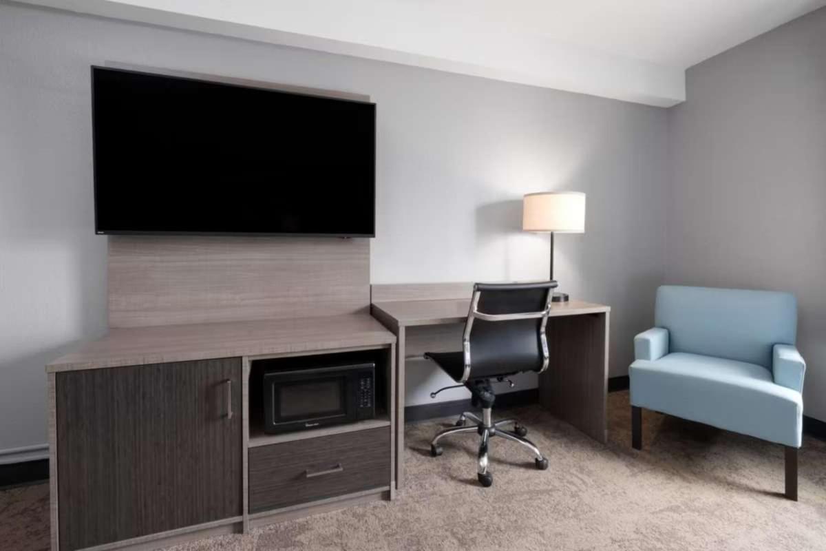 Standard King Room Sofa Bed