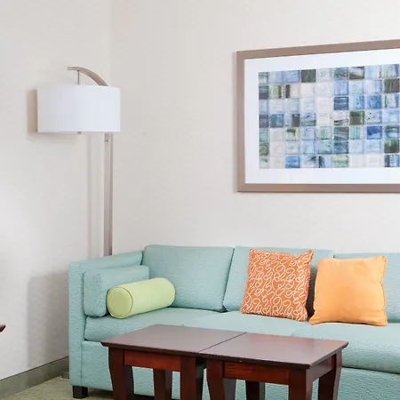 Springhill Suites By Marriott Norfolk Virginia Beach-2